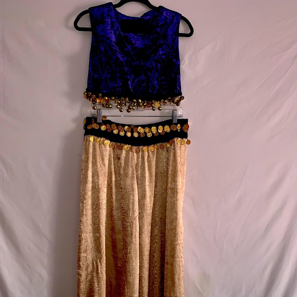 Hand made belly dancer costume.